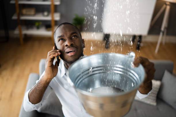 Best Emergency water damage restoration  in Springdale, NJ