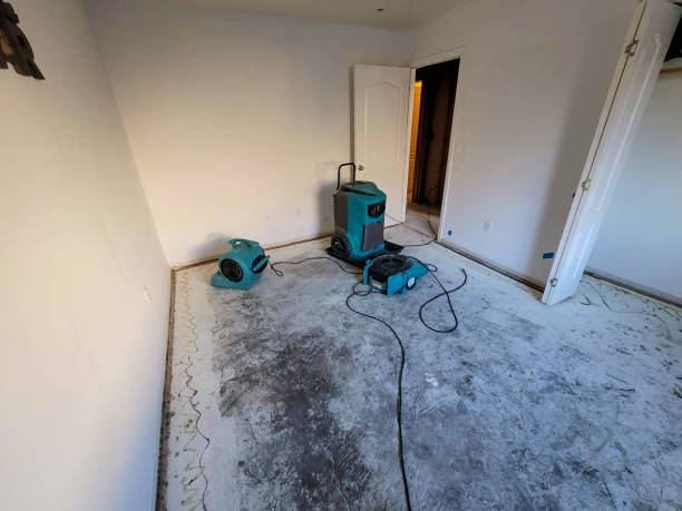 Best Sewage cleanup and water damage restoration  in Springdale, NJ