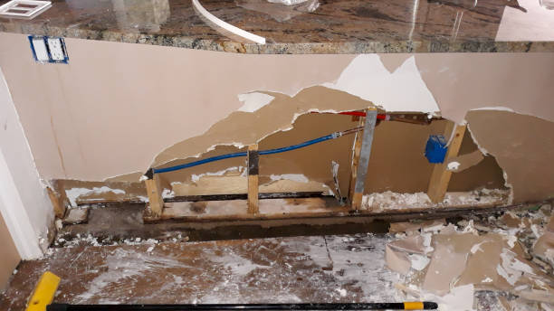 Best Local water damage restoration  in Springdale, NJ
