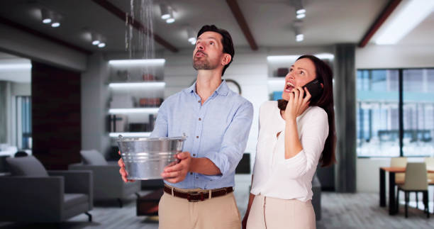 Best Water damage cleanup near me  in Springdale, NJ